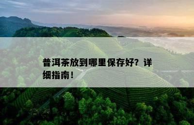 普洱茶放到哪里保存好？详细指南！