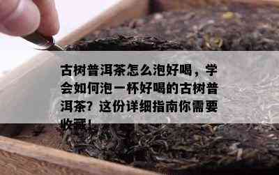 古树普洱茶怎么泡好喝，学会如何泡一杯好喝的古树普洱茶？这份详细指南你需要收藏！