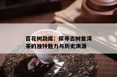 百花树勐库：探寻古树普洱茶的独特魅力与历史渊源