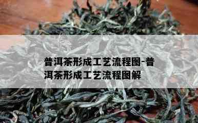 普洱茶形成工艺流程图-普洱茶形成工艺流程图解