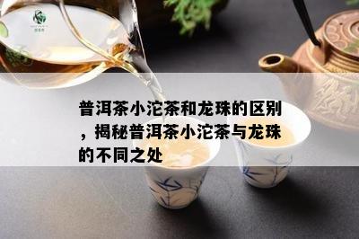 普洱茶小沱茶和龙珠的区别，揭秘普洱茶小沱茶与龙珠的不同之处