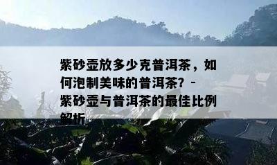 紫砂壶放多少克普洱茶，如何泡制美味的普洱茶？- 紫砂壶与普洱茶的更佳比例解析