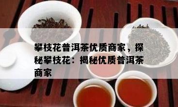 攀枝花普洱茶优质商家，探秘攀枝花：揭秘优质普洱茶商家