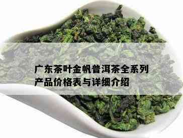 广东茶叶金帆普洱茶全系列产品价格表与详细介绍