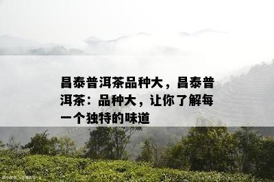 昌泰普洱茶品种大，昌泰普洱茶：品种大，让你了解每一个独特的味道