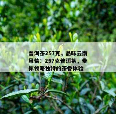 普洱茶257克，品味云南风情：257克普洱茶，带你领略独特的茶香体验