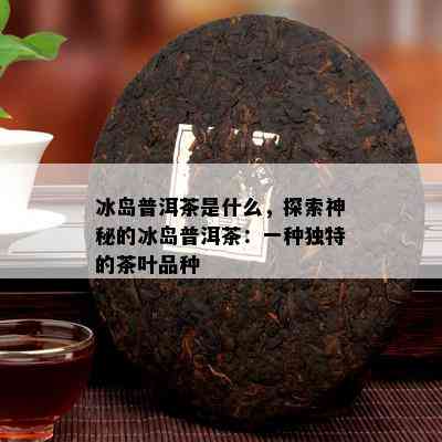 冰岛普洱茶是什么，探索神秘的冰岛普洱茶：一种独特的茶叶品种