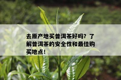 去原产地买普洱茶好吗？了解普洱茶的安全性和更佳购买地点！