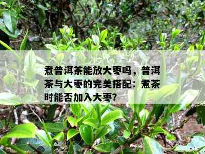 煮普洱茶能放大枣吗，普洱茶与大枣的完美搭配：煮茶时能否加入大枣？