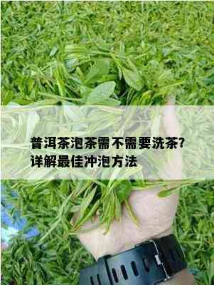 普洱茶泡茶需不需要洗茶？详解更佳冲泡方法