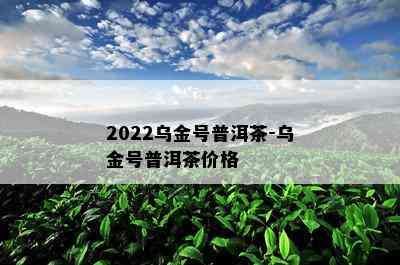 2022乌金号普洱茶-乌金号普洱茶价格