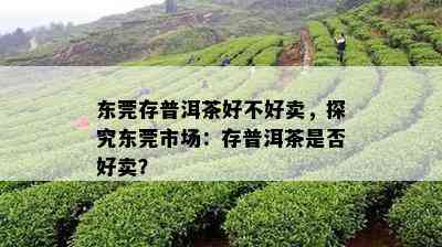 东莞存普洱茶好不好卖，探究东莞市场：存普洱茶是否好卖？