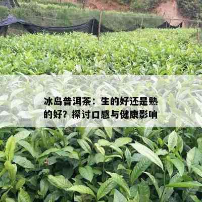 冰岛普洱茶：生的好还是熟的好？探讨口感与健康影响