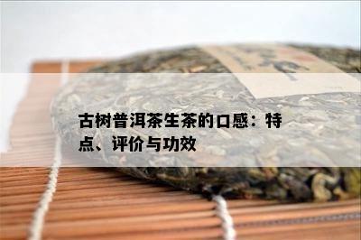 古树普洱茶生茶的口感：特点、评价与功效