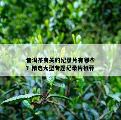 普洱茶有关的纪录片有哪些？精选大型专题纪录片推荐