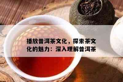 播放普洱茶文化，探索茶文化的魅力：深入理解普洱茶