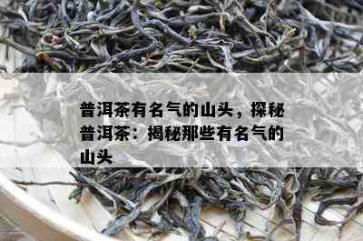 普洱茶有名气的山头，探秘普洱茶：揭秘那些有名气的山头