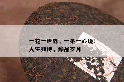 一花一世界，一茶一心境：人生如诗，静品岁月