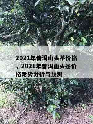 2021年普洱山头茶价格，2021年普洱山头茶价格走势分析与预测