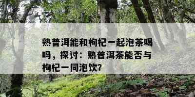 熟普洱能和枸杞一起泡茶喝吗，探讨：熟普洱茶能否与枸杞一同泡饮？