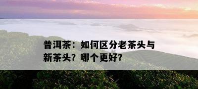 普洱茶：如何区分老茶头与新茶头？哪个更好？