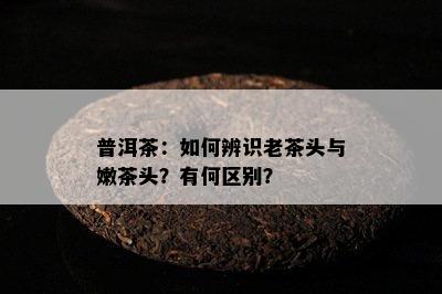 普洱茶：如何辨识老茶头与嫩茶头？有何区别？