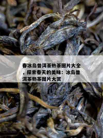 春冰岛普洱茶熟茶图片大全，探索春天的美味：冰岛普洱茶熟茶图片大赏