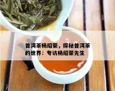 普洱茶杨绍荣，探秘普洱茶的世界：专访杨绍荣先生