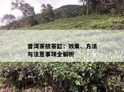 普洱茶放茶缸：效果、方法与注意事项全解析