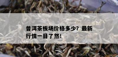 普洱茶板场价格多少？最新行情一目了然！