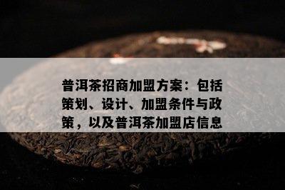 普洱茶招商加盟方案：包括策划、设计、加盟条件与政策，以及普洱茶加盟店信息