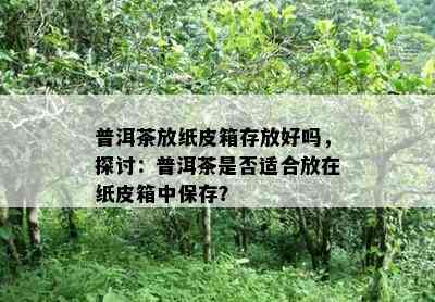 普洱茶放纸皮箱存放好吗，探讨：普洱茶是否适合放在纸皮箱中保存？