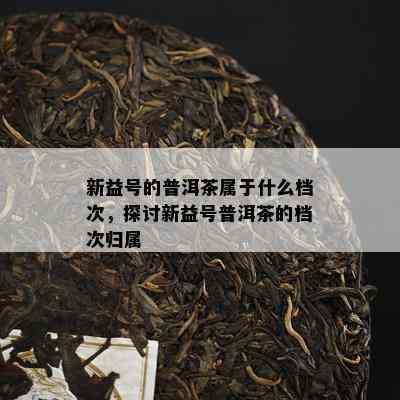 新益号的普洱茶属于什么档次，探讨新益号普洱茶的档次归属