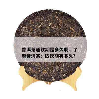 普洱茶适饮期是多久啊，了解普洱茶：适饮期有多久？