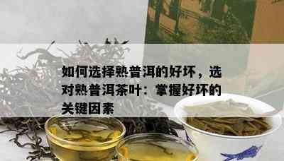 如何选择熟普洱的好坏，选对熟普洱茶叶：掌握好坏的关键因素