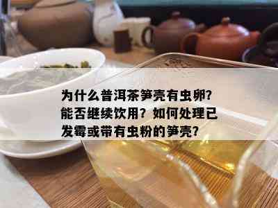 为什么普洱茶笋壳有虫卵？能否继续饮用？如何处理已发霉或带有虫粉的笋壳？