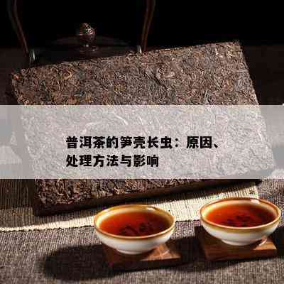 普洱茶的笋壳长虫：原因、处理方法与影响