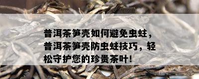 普洱茶笋壳如何避免虫蛀，普洱茶笋壳防虫蛀技巧，轻松守护您的珍贵茶叶！