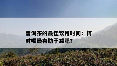 普洱茶的更佳饮用时间：何时喝最有助于减肥？