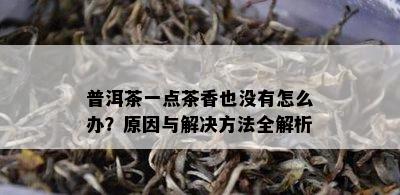 普洱茶一点茶香也没有怎么办？原因与解决方法全解析