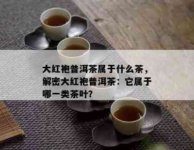 大红袍普洱茶属于什么茶，解密大红袍普洱茶：它属于哪一类茶叶？