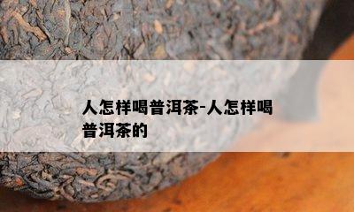 人怎样喝普洱茶-人怎样喝普洱茶的