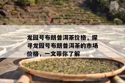 龙园号布朗普洱茶价格，探寻龙园号布朗普洱茶的市场价格，一文带你了解