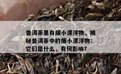 普洱茶里有细小漂浮物，揭秘普洱茶中的细小漂浮物：它们是什么，有何影响？