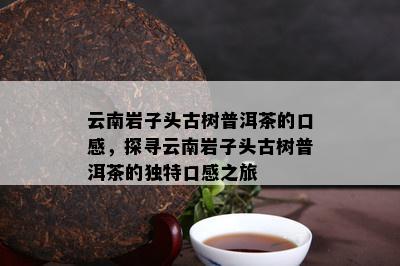 云南岩子头古树普洱茶的口感，探寻云南岩子头古树普洱茶的独特口感之旅