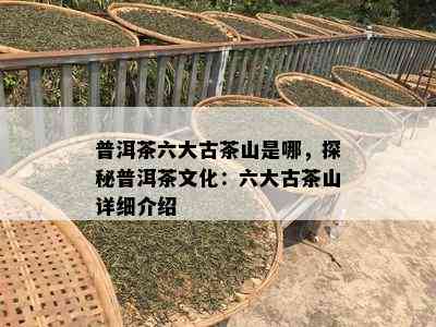 普洱茶六大古茶山是哪，探秘普洱茶文化：六大古茶山详细介绍