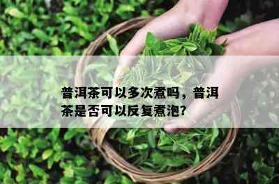 普洱茶可以多次煮吗，普洱茶是否可以反复煮泡？