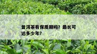 普洱茶有保质期吗？最长可达多少年？