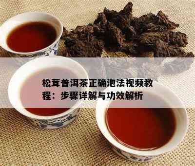 松茸普洱茶正确泡法视频教程：步骤详解与功效解析