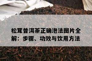 松茸普洱茶正确泡法图片全解：步骤、功效与饮用方法